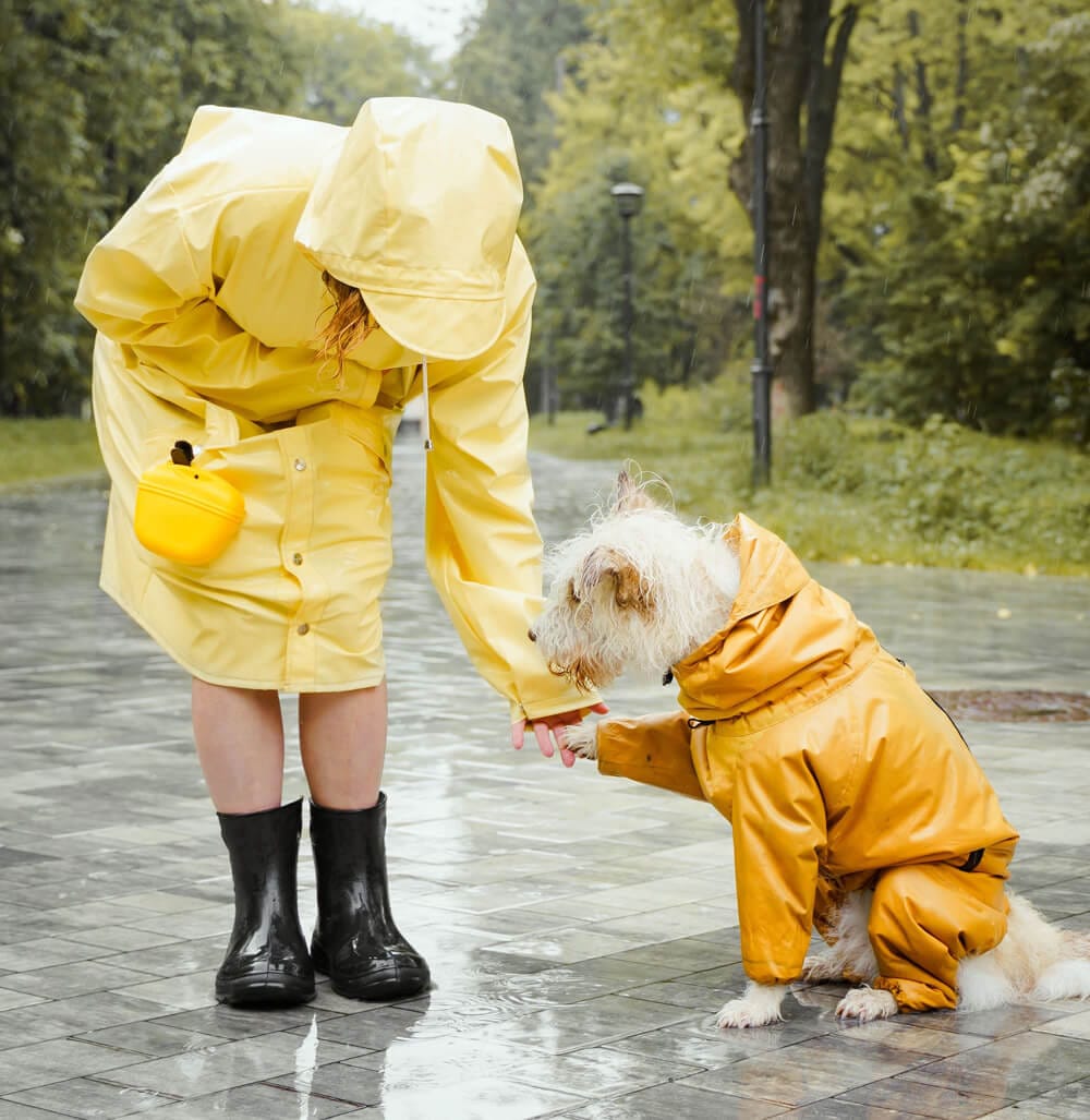 Hond en baasje in regenpak tijdens een natte najaarswandeling