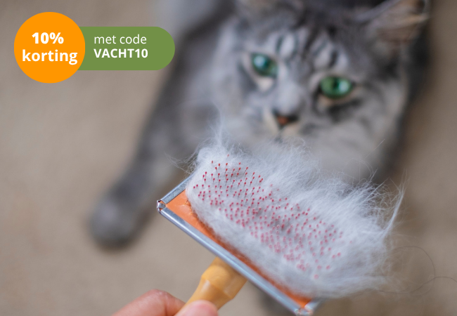 Kat met een borstel vol losse haren: 10% korting op huid- en vachtproducten