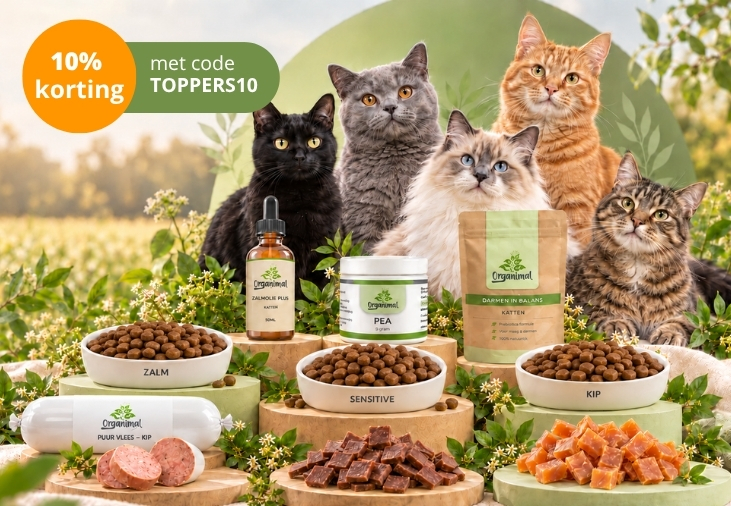 De favorieten van kattenbaasjes: 10% korting met code TOPPERS10